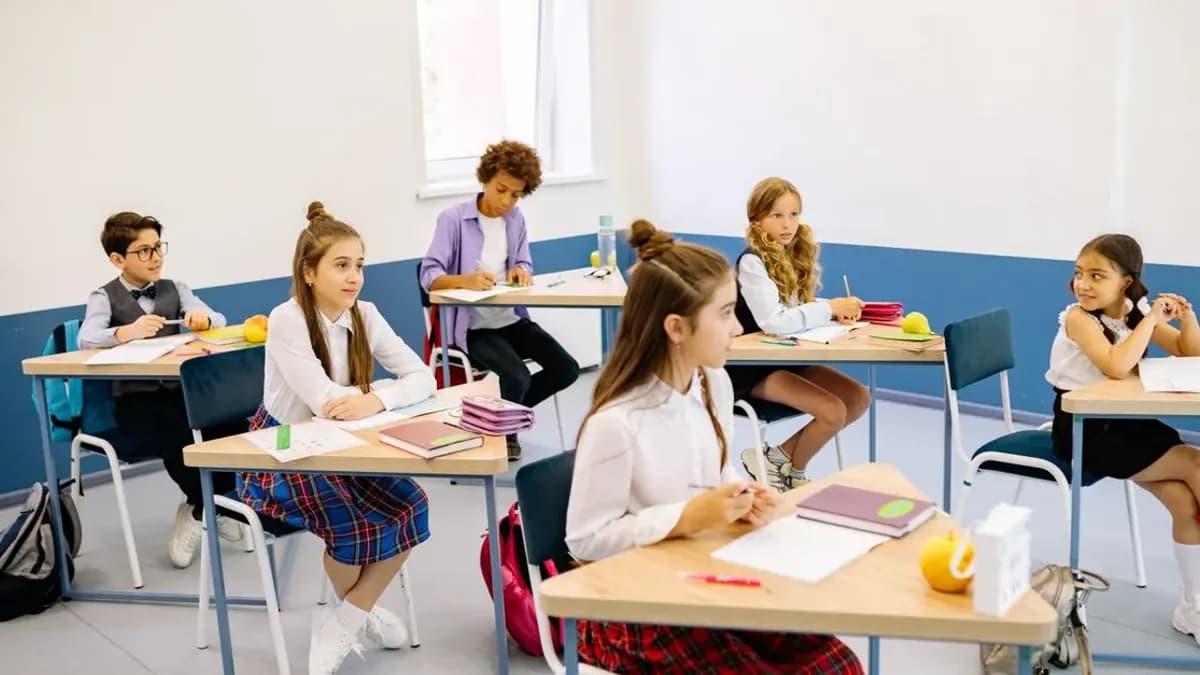 Textul descriptiv nonliterar explicat cu exemple din viața